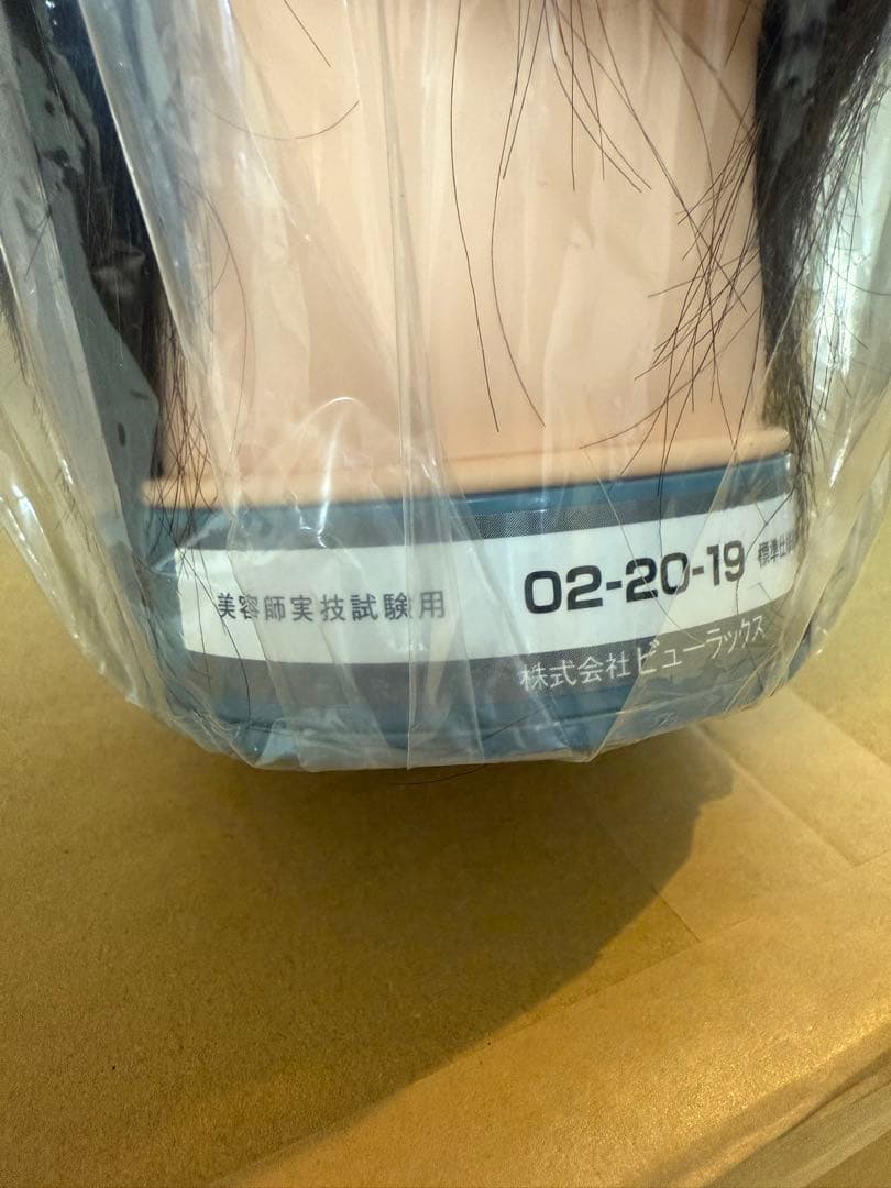 国家試験用カットウィッグ6体セット