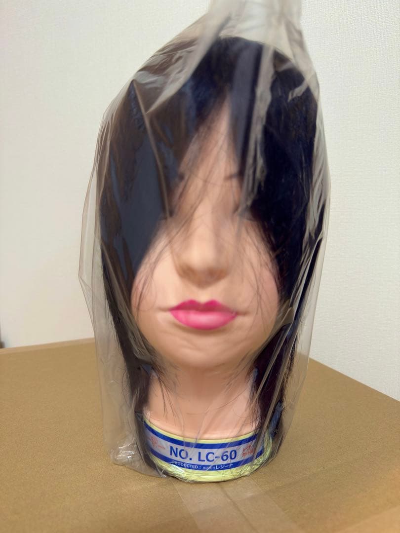 国家試験用カットウィッグ6体セット