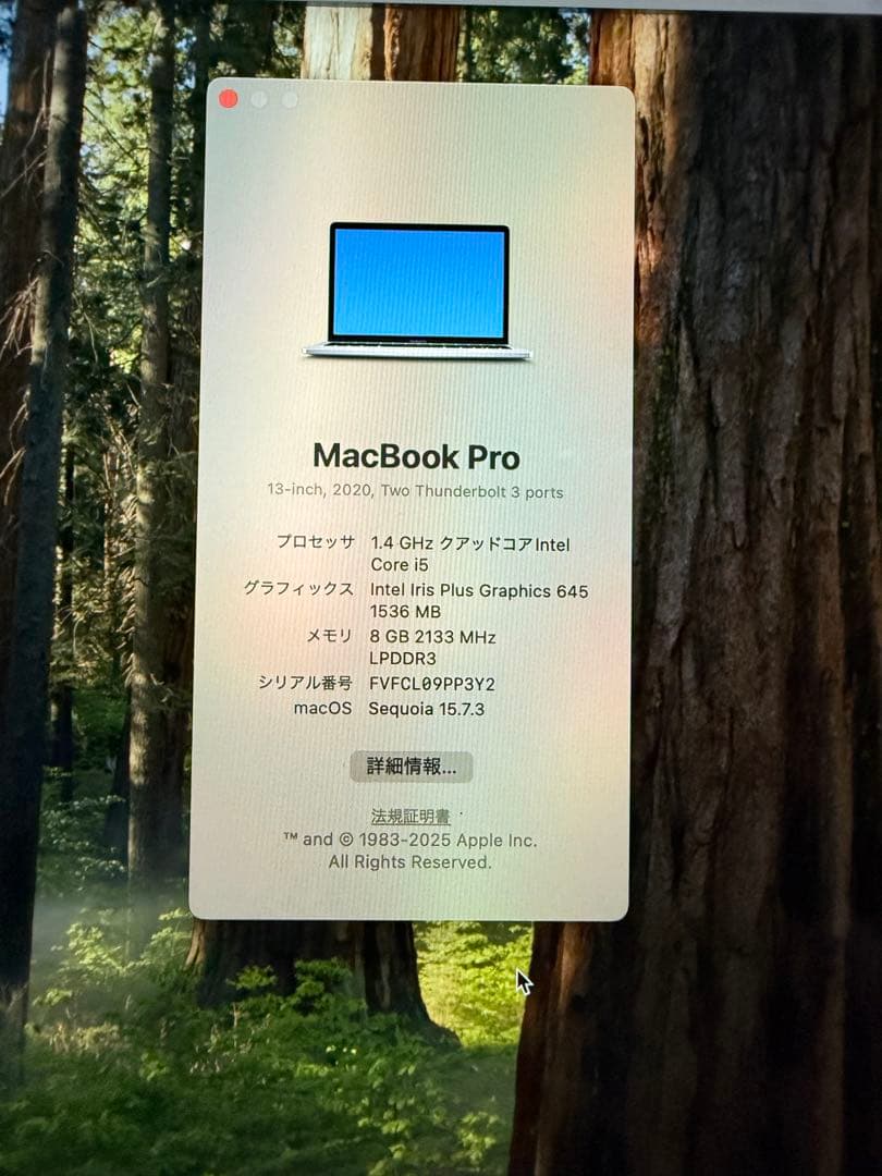 MacBook Pro 512GB モデル