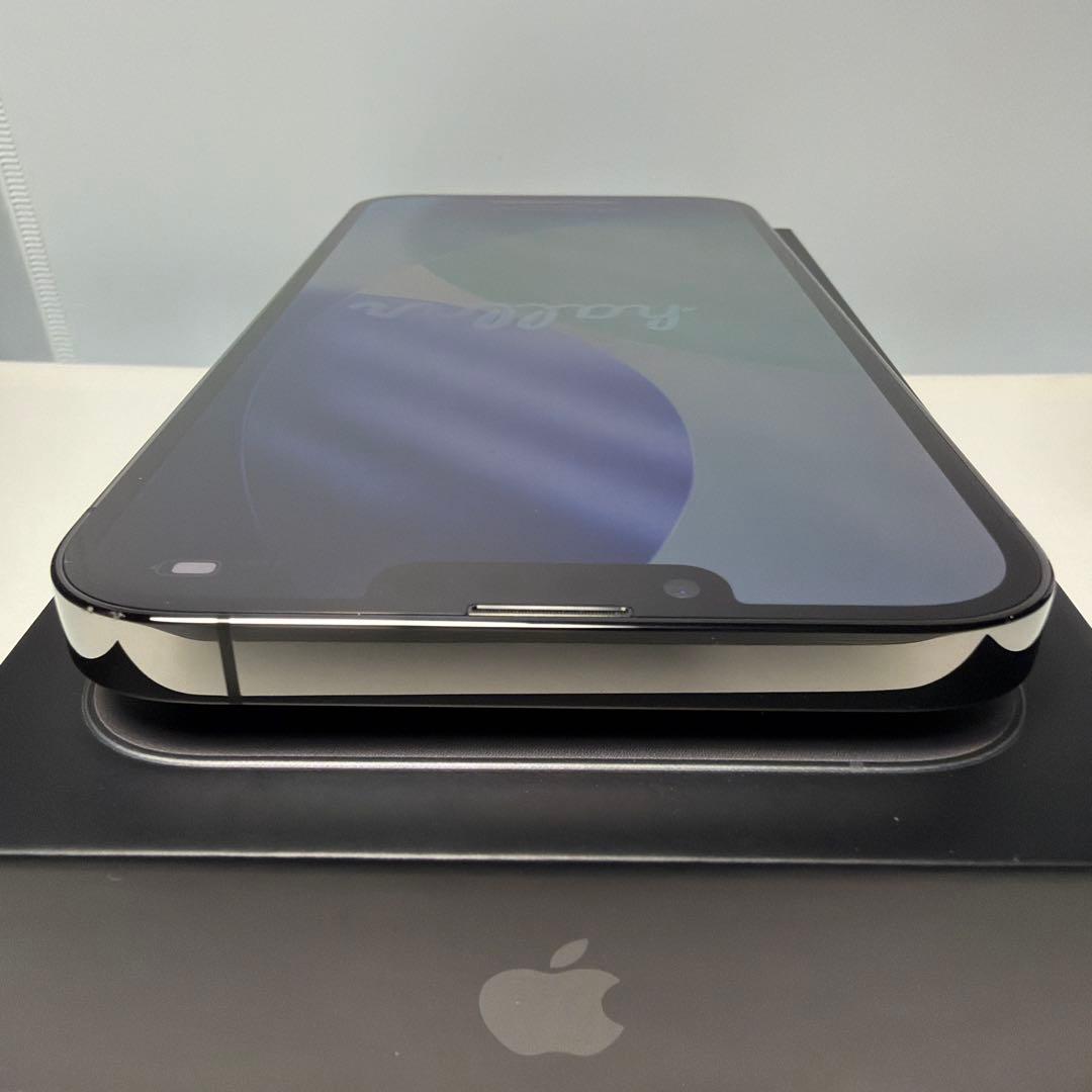 Apple iPhone 13 pro max 256GB （おまけ付き）