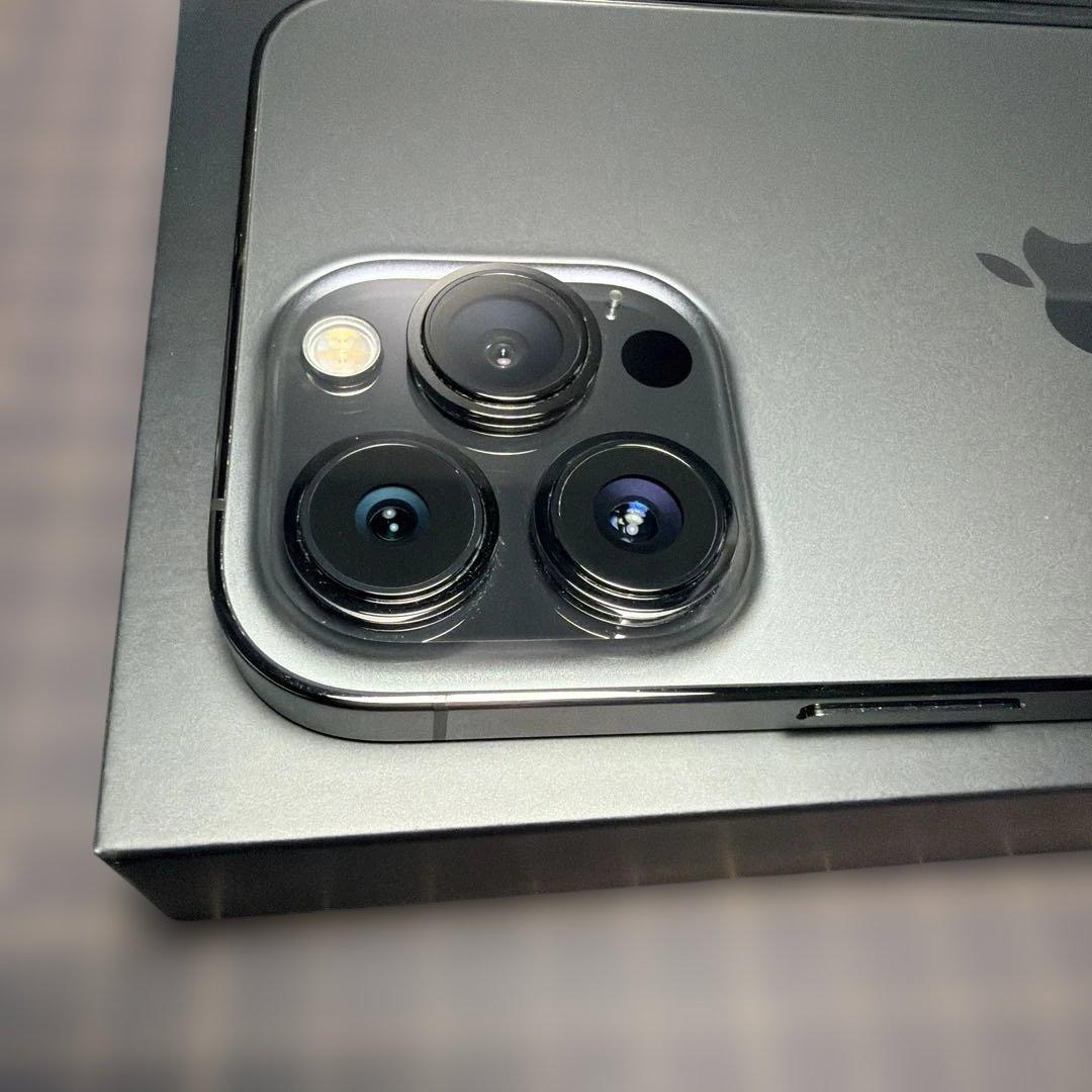 Apple iPhone 13 pro max 256GB （おまけ付き）