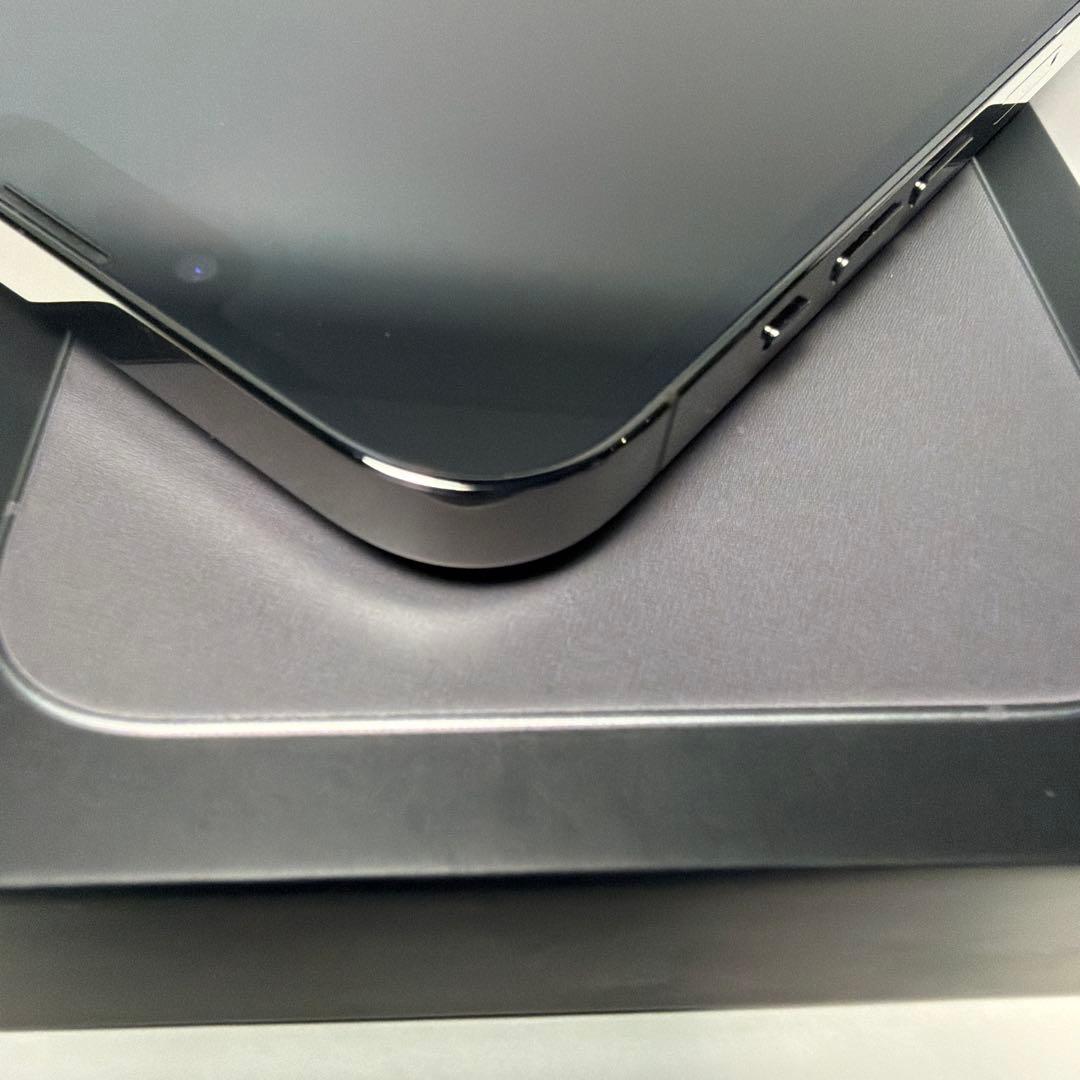 Apple iPhone 13 pro max 256GB （おまけ付き）