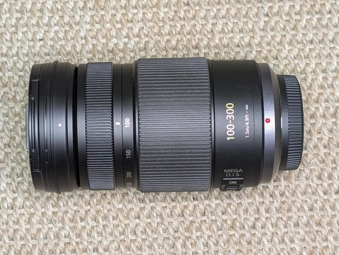 ◆LUMIX G VARIO 100-300mm / F4.0-5.6◆