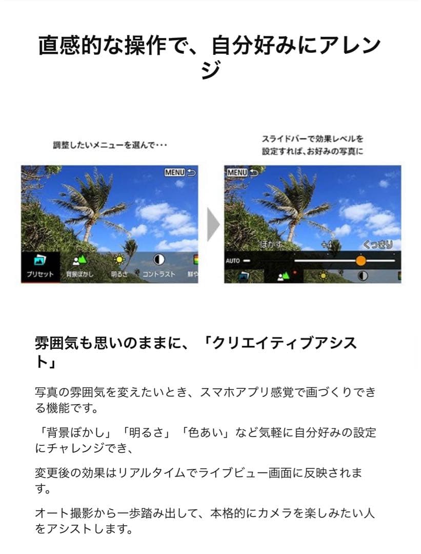 早い者勝ち 破格 新品未使用 Canon ミラーレス一眼カメラ EOS R100