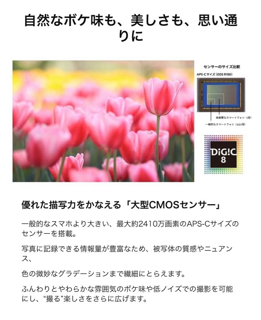 早い者勝ち 破格 新品未使用 Canon ミラーレス一眼カメラ EOS R100