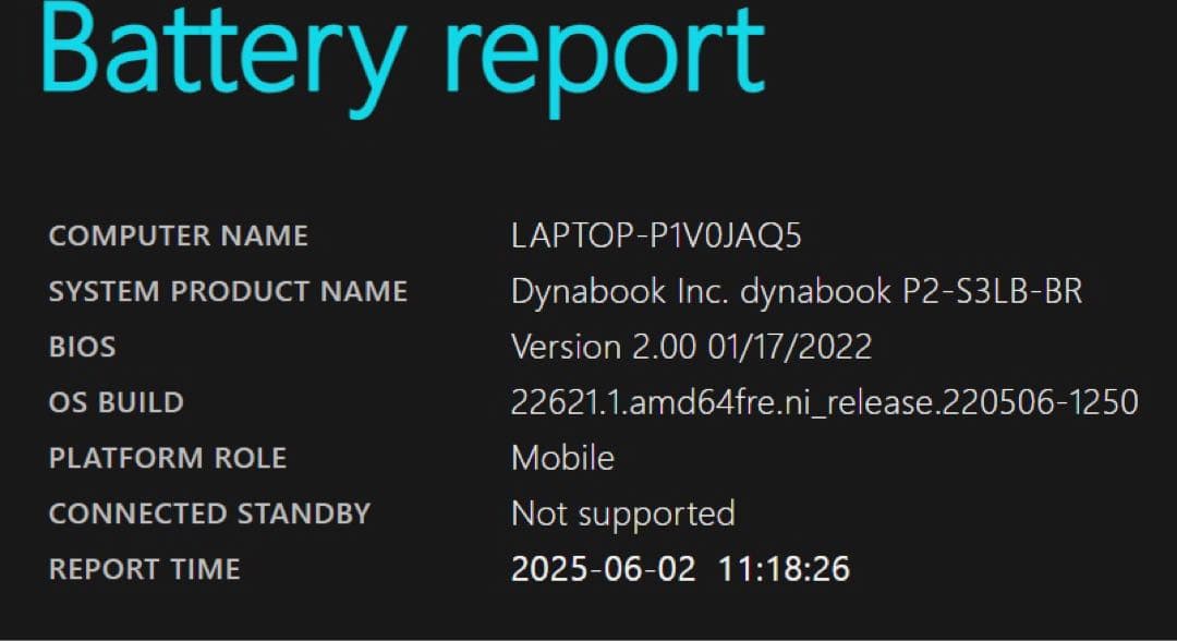 dynabook ノートPC P2-S3LB-BR レッド ACアダプター付き