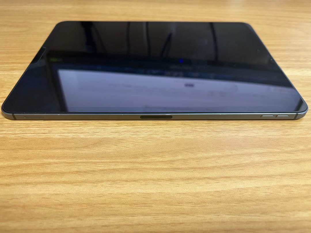 iPad Pro 第1世代 １TB Cellularモデル