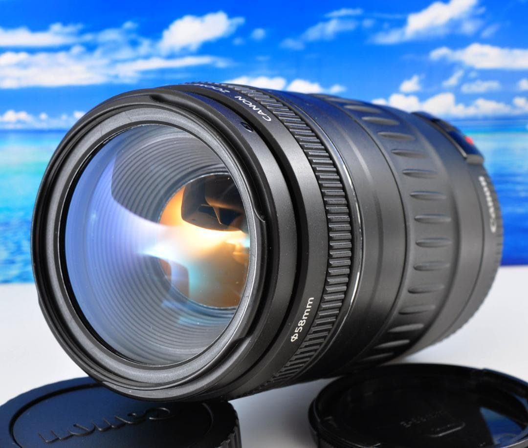 望遠レンズ 大切な記録を望遠で！ Canon キヤノン EF90-300mm#2