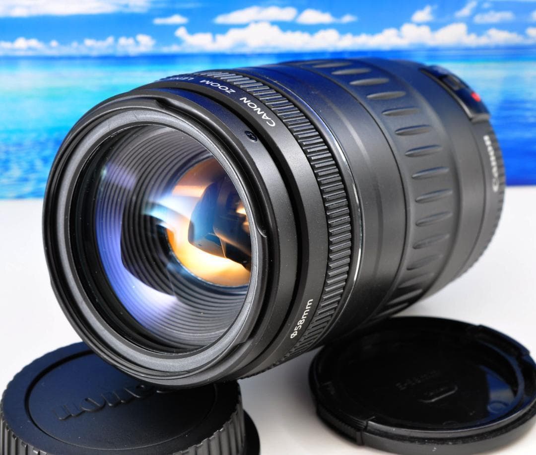 望遠レンズ 大切な記録を望遠で！ Canon キヤノン EF90-300mm#2