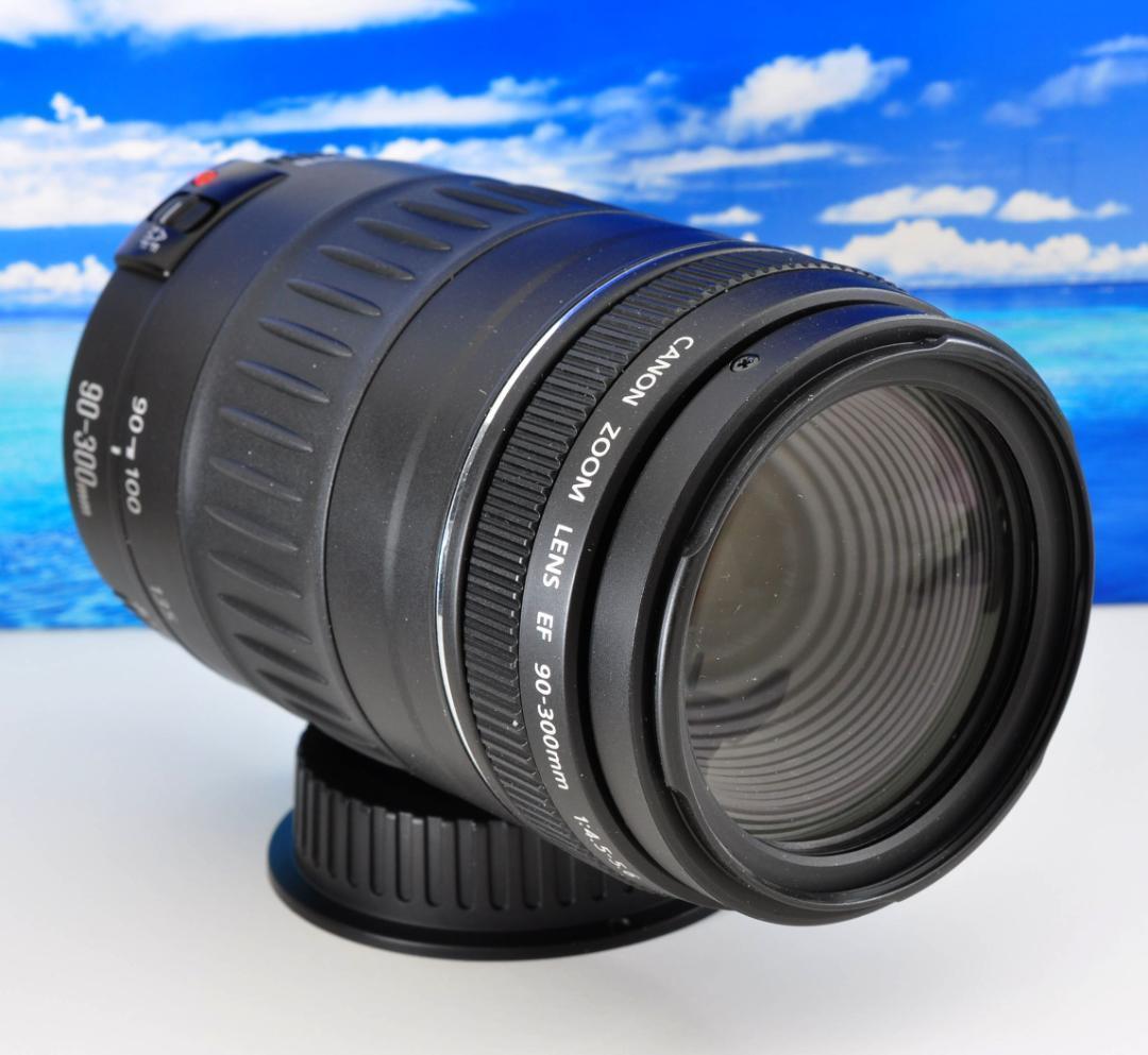 望遠レンズ 大切な記録を望遠で！ Canon キヤノン EF90-300mm#2