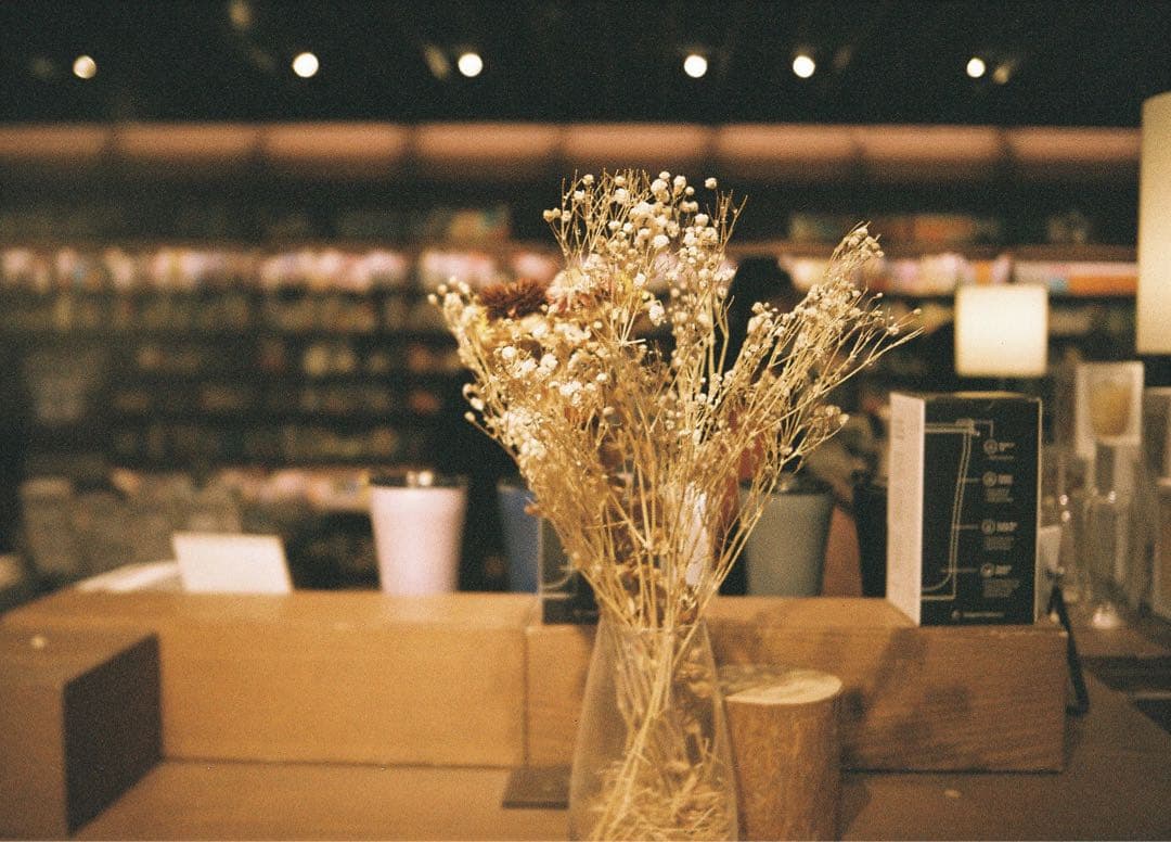 Lomo MC-A 35 mm FilmCamera Black 【中古極美品】