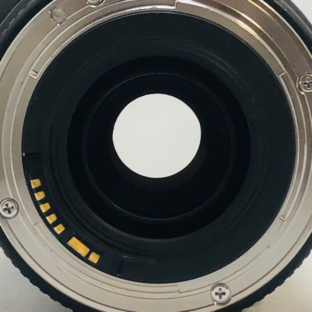 キャノンCanon EF70-300mm F4-5.6 IS USM