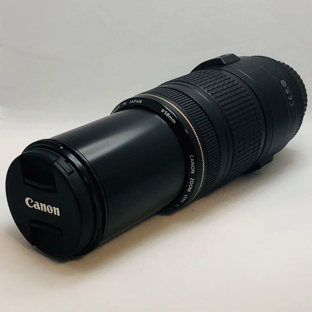 キャノンCanon EF70-300mm F4-5.6 IS USM