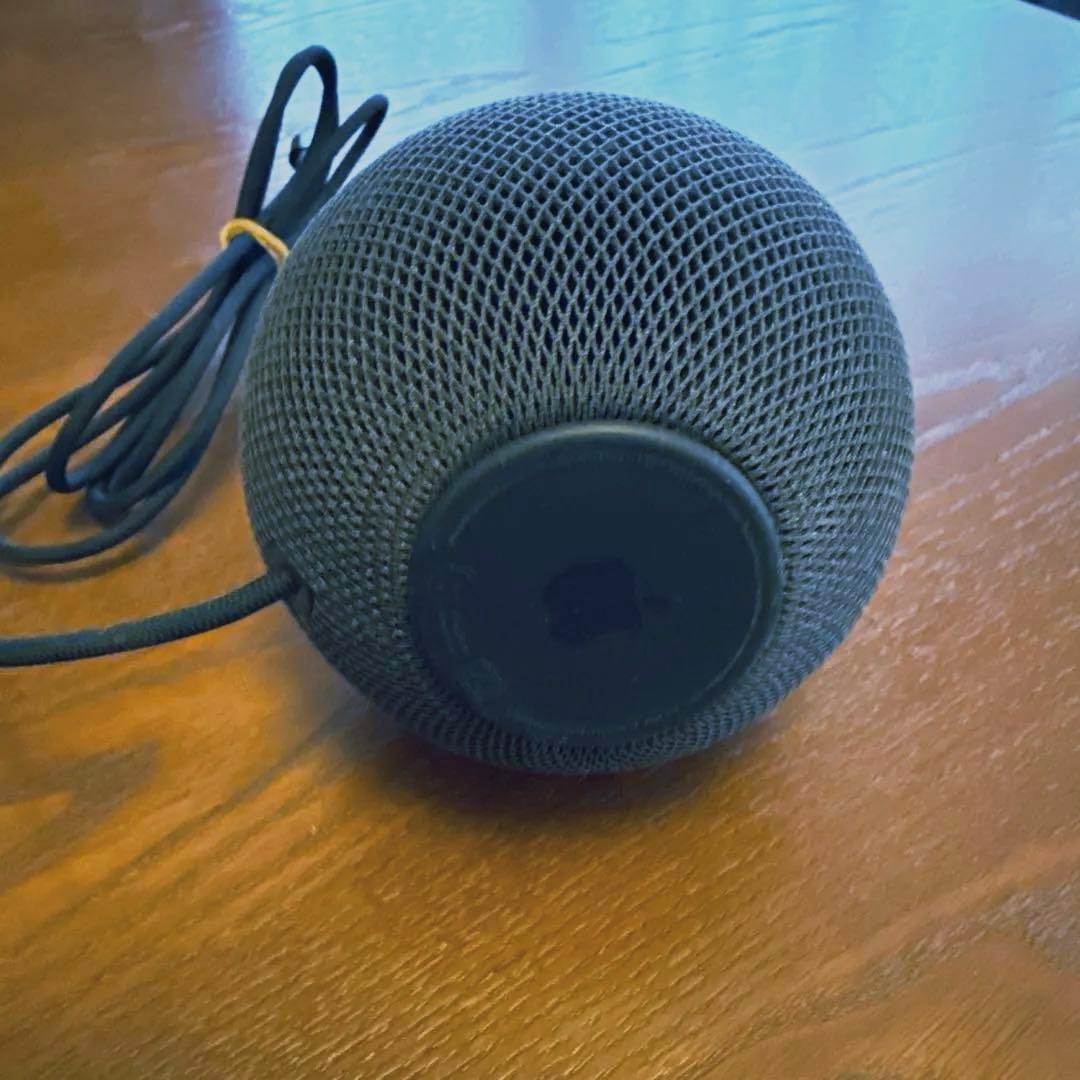 Apple Pod mini ブラック