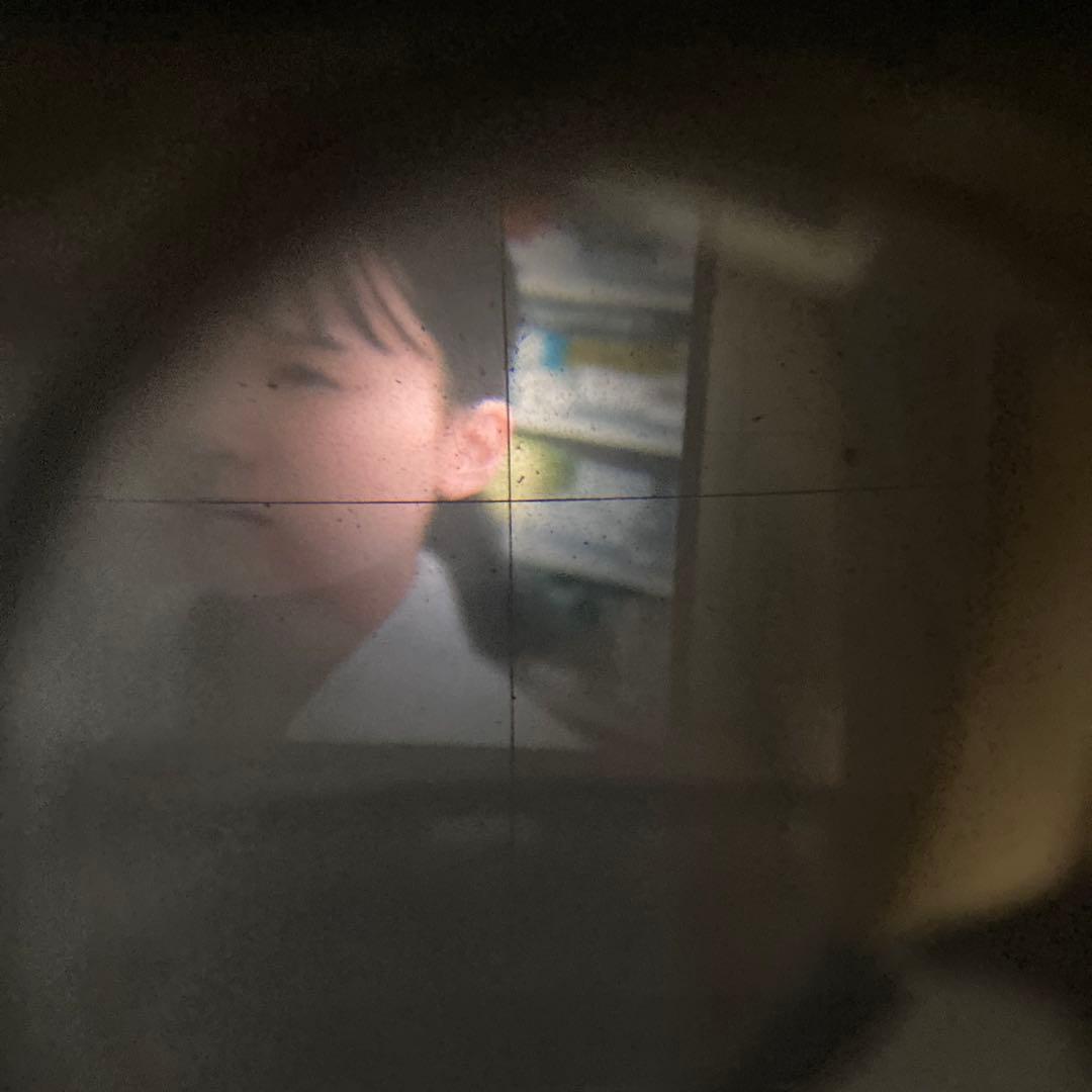 アンティーク蔵出し未使用近CRYSTAR FLEX 二眼レフ機能完動本体合皮傷無