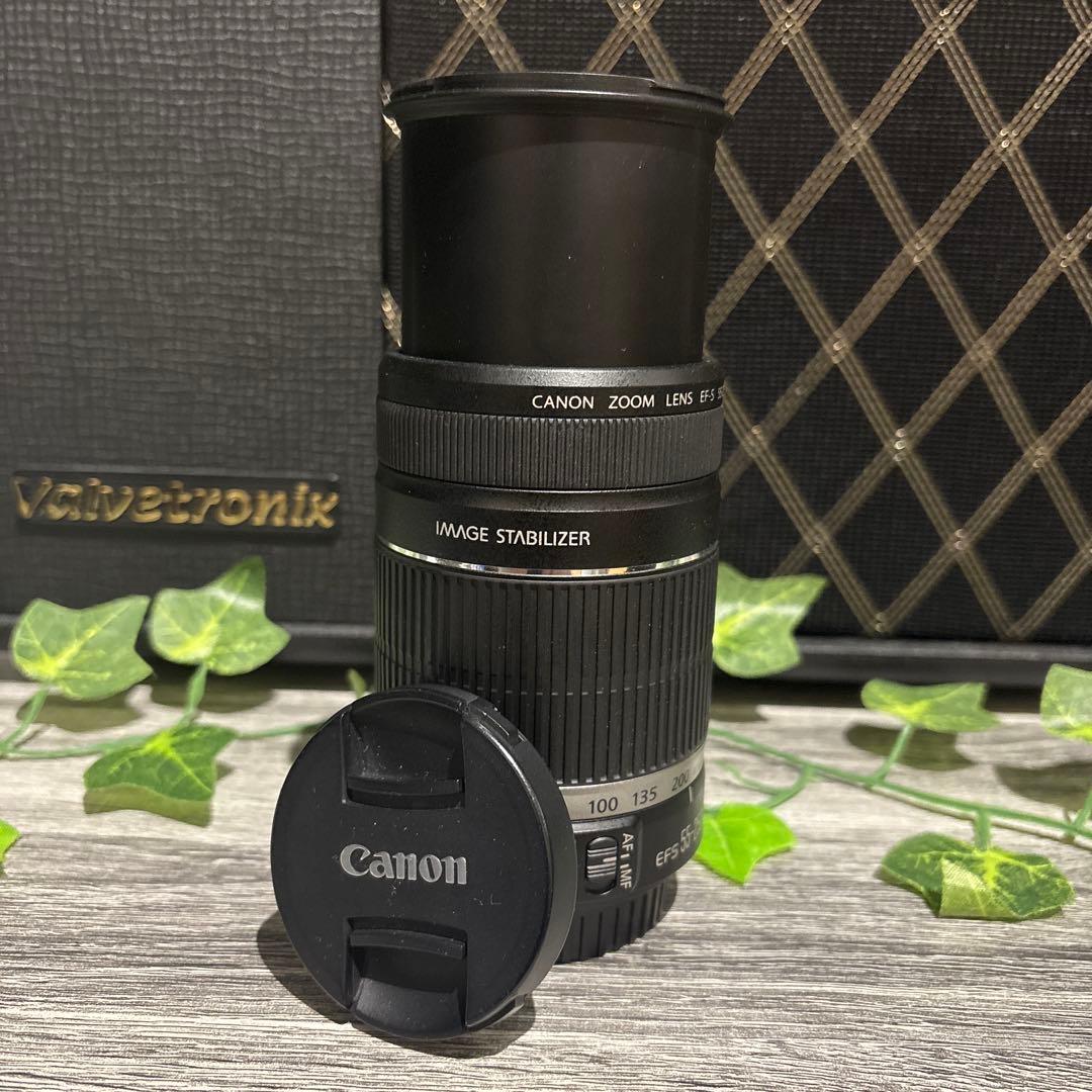[最終値下げ]Canon EFSマウント 55mm-250mm 一眼レフ