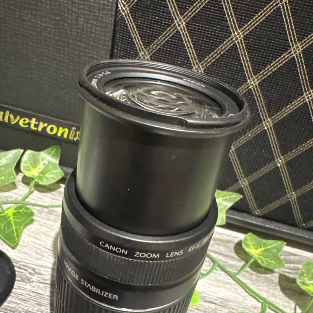 [最終値下げ]Canon EFSマウント 55mm-250mm 一眼レフ