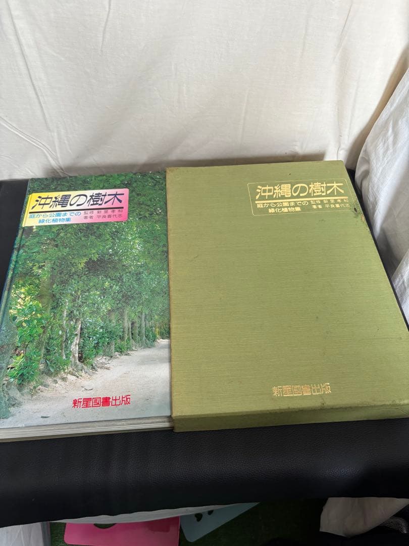 カラー版 沖縄の樹木 庭から公園までの緑化植物集 新興出版社