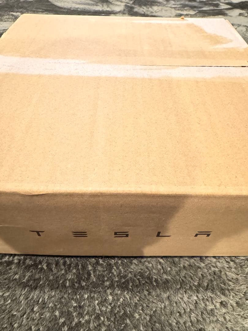 12時までの価格【新品未使用】テスラTESLA GEN II モバイルコネクター