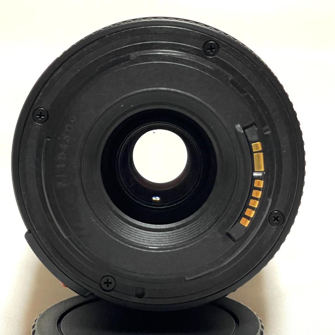 望遠✨ Canon キャノン EF 90-300mm f/4.5-5.6 USM