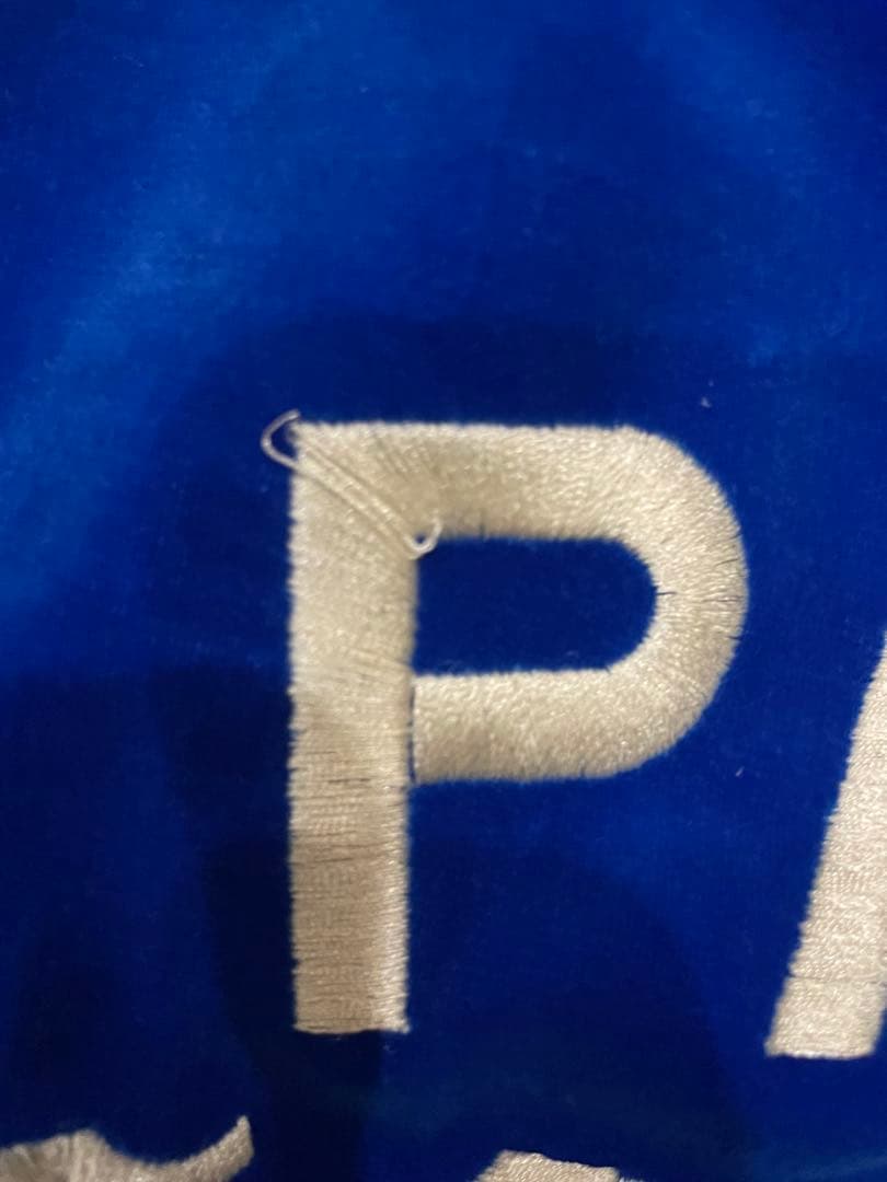 EVISU evisu スカジャン青　スーベニアジャケット　40 希少なデザイン