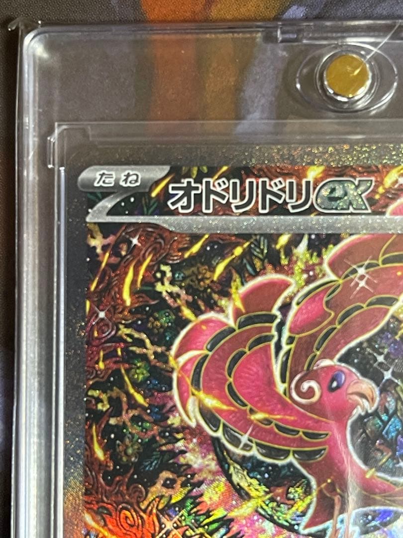 オドリドリex SAR