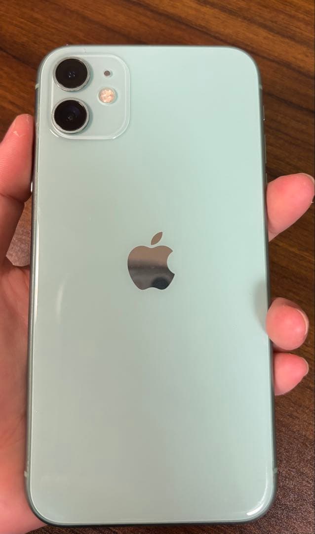 Apple iPhone 11 ミントグリーン 本体　ジャンク品