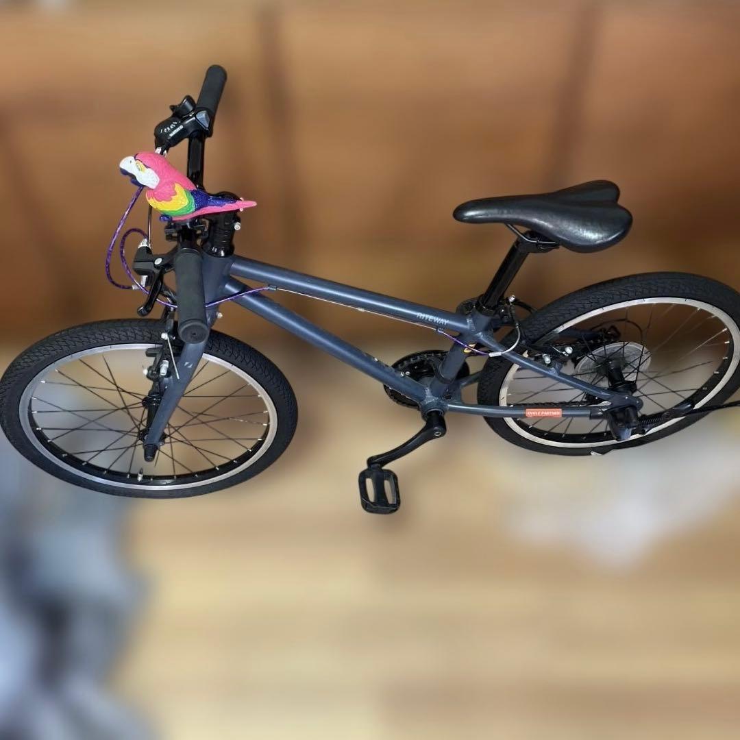 【タイペイ】RITEWAY ライトウェイ　20インチ　ブラック