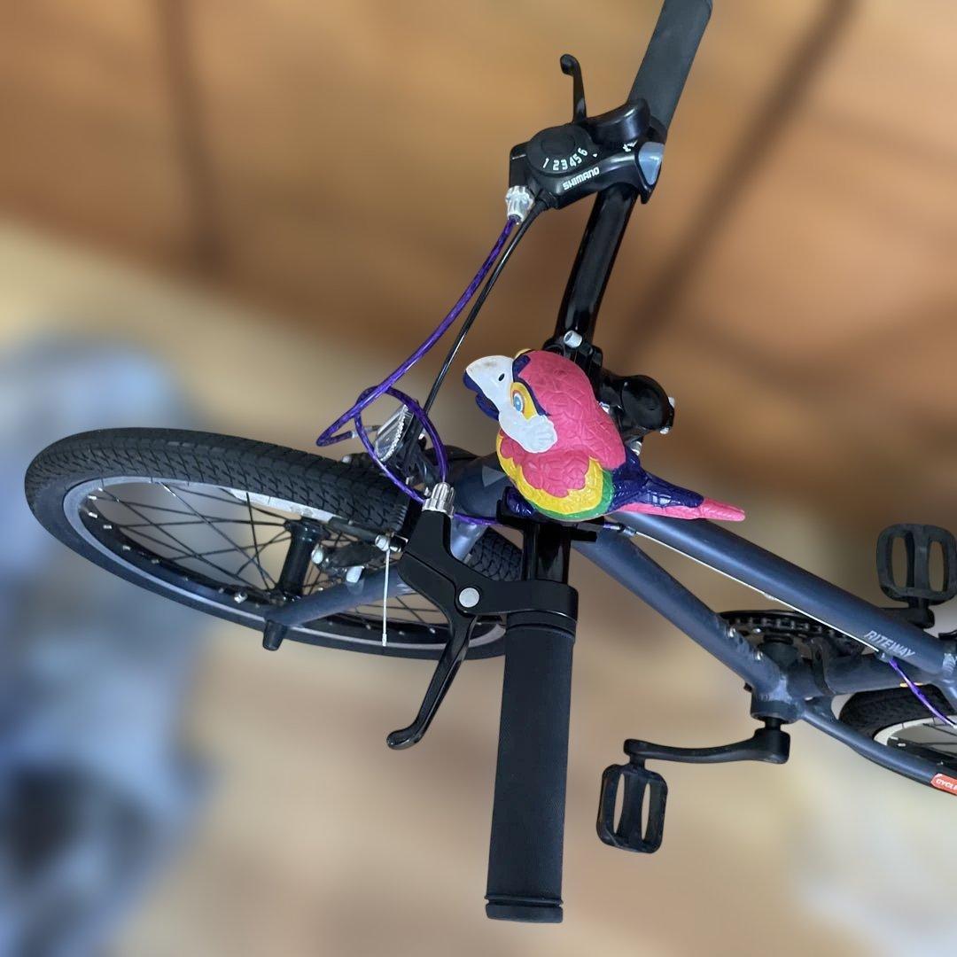 【タイペイ】RITEWAY ライトウェイ　20インチ　ブラック