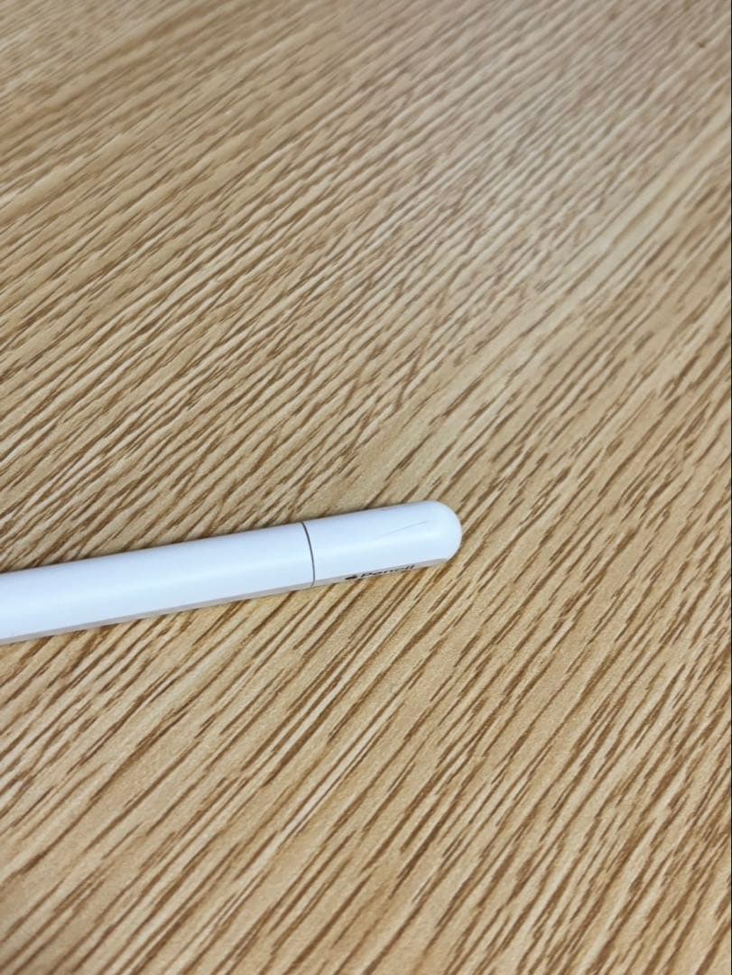 Apple Pencil USB-C ホワイト