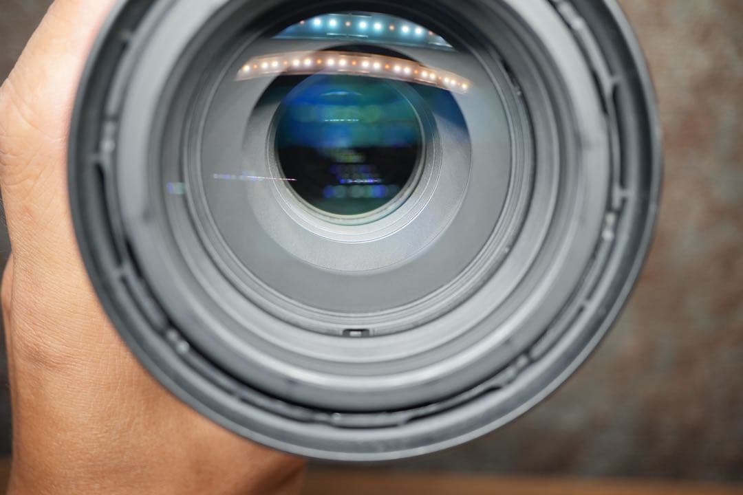 SIGMA 100-400mm F5-6.3ソニー Eマウント