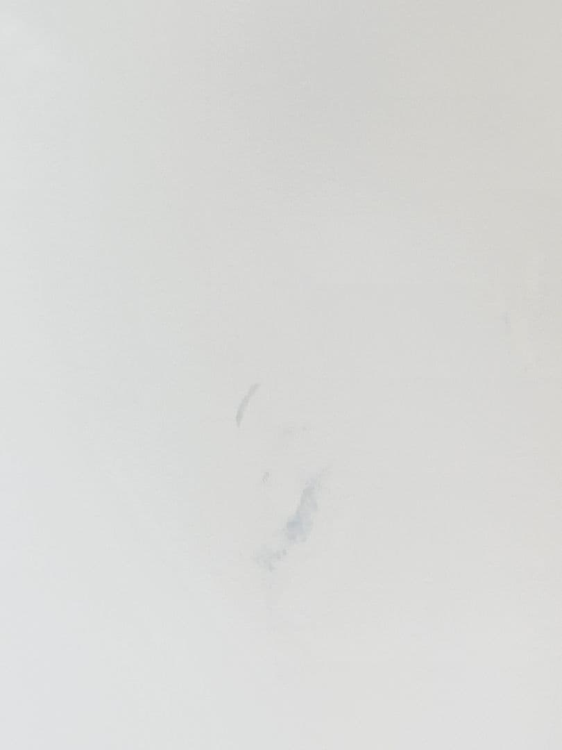 ホシザキ リーチイン冷蔵ショーケース RSC-90D ◆ 546L 17年製