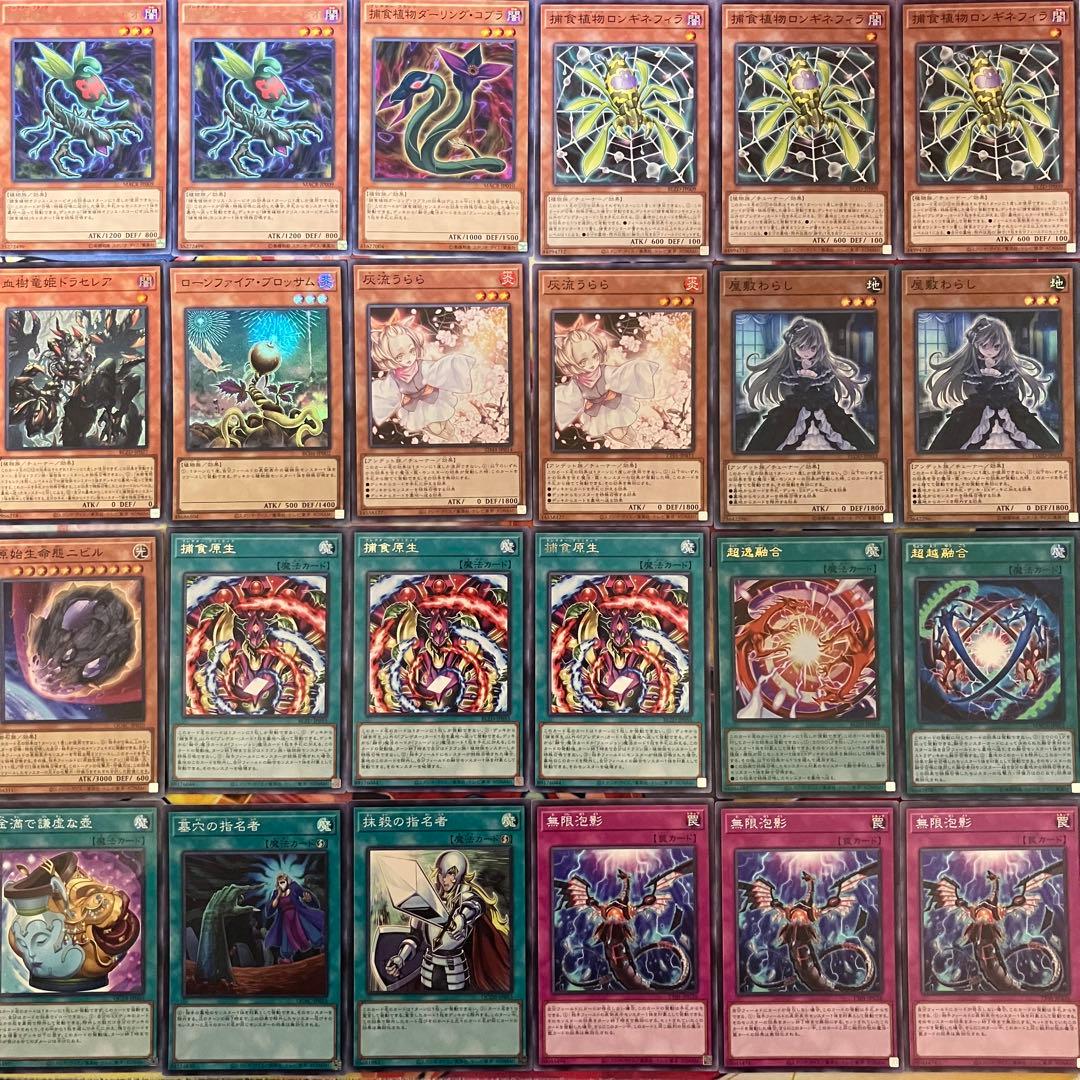捕食植物 プレデタープランツ デッキ 遊戯王 Predaplant deck b