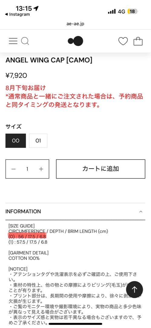 AE SYMBOL ANGEL WING CAP [CAMO] aeaeキャップ