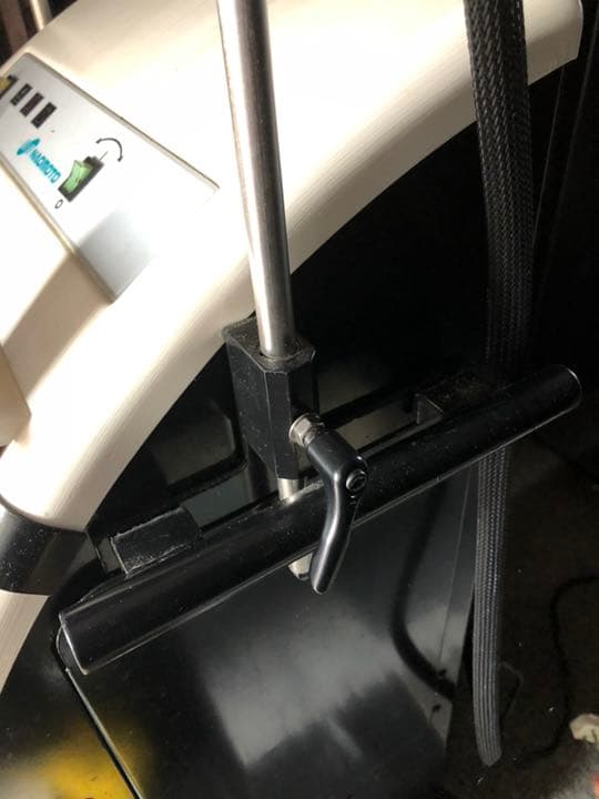 パルッキー  早い者勝ち値引き