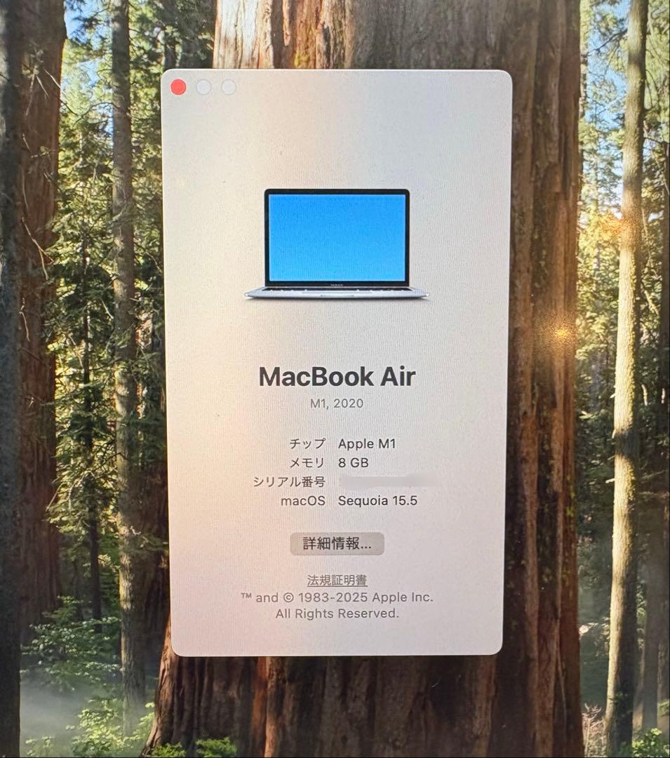 Mac Book Air M1 2020【8GB/256GB】