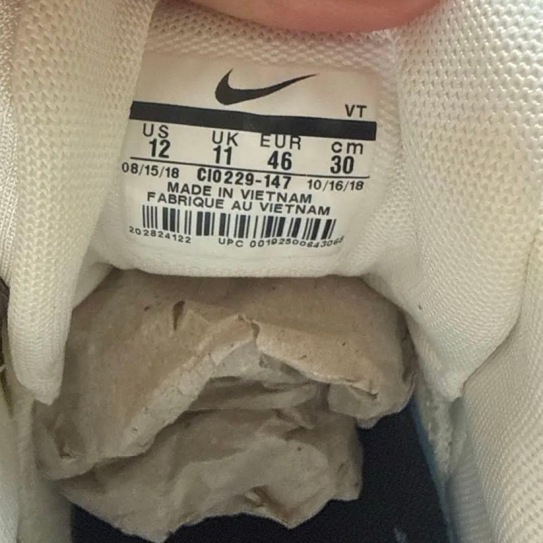 NIKE ナイキ) Air Max 95 Just Do It Mt. Fuji