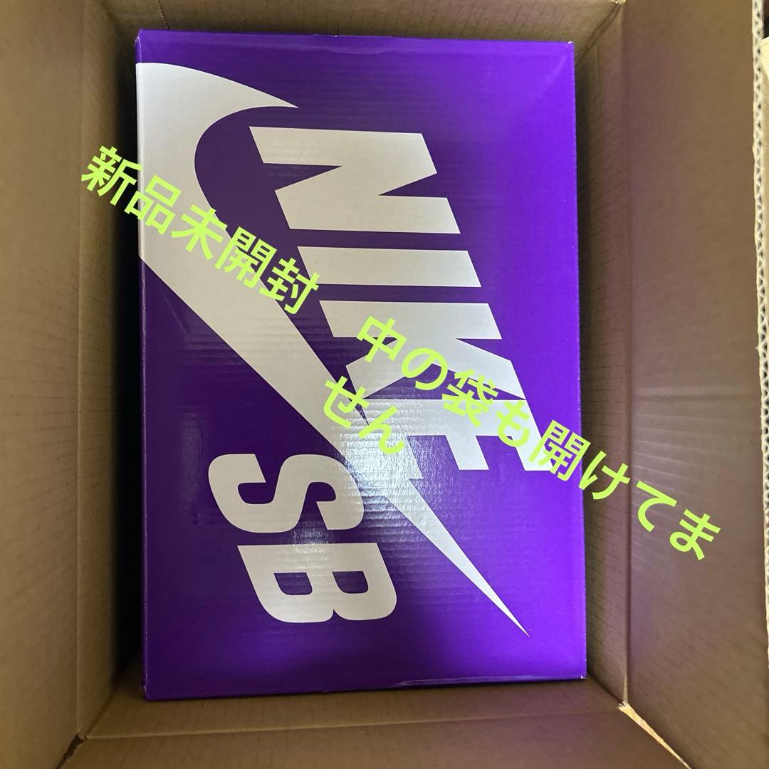 新品未開封Hayley Wilson × Nike SB Dunk LowPro