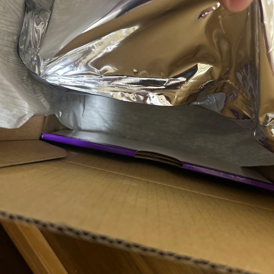 新品未開封Hayley Wilson × Nike SB Dunk LowPro