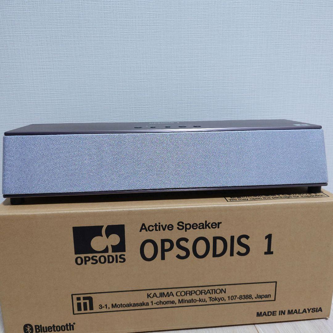 OPSODIS 1 アクティブスピーカー シルバー