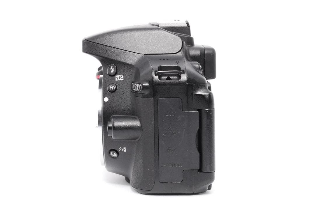 ふじ✨ショット数1127回 Wi-Fi搭載✨Nikon D5300ダブル