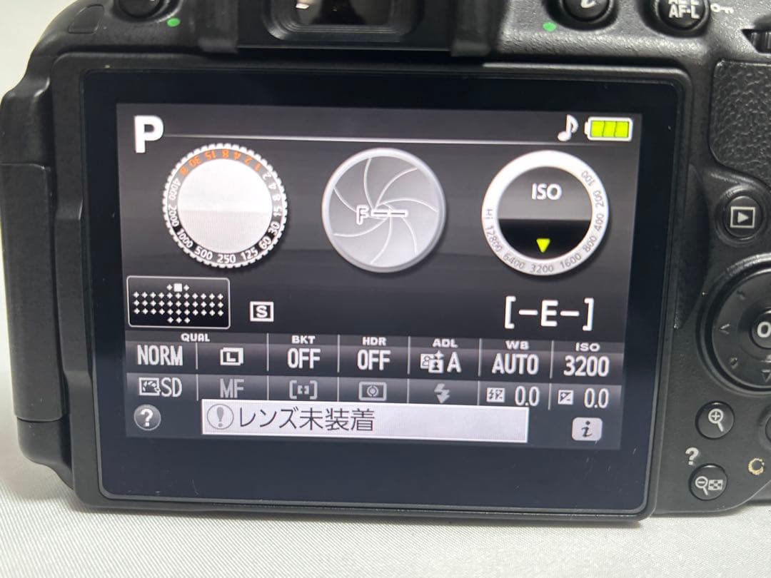 ふじ✨ショット数1127回 Wi-Fi搭載✨Nikon D5300ダブル