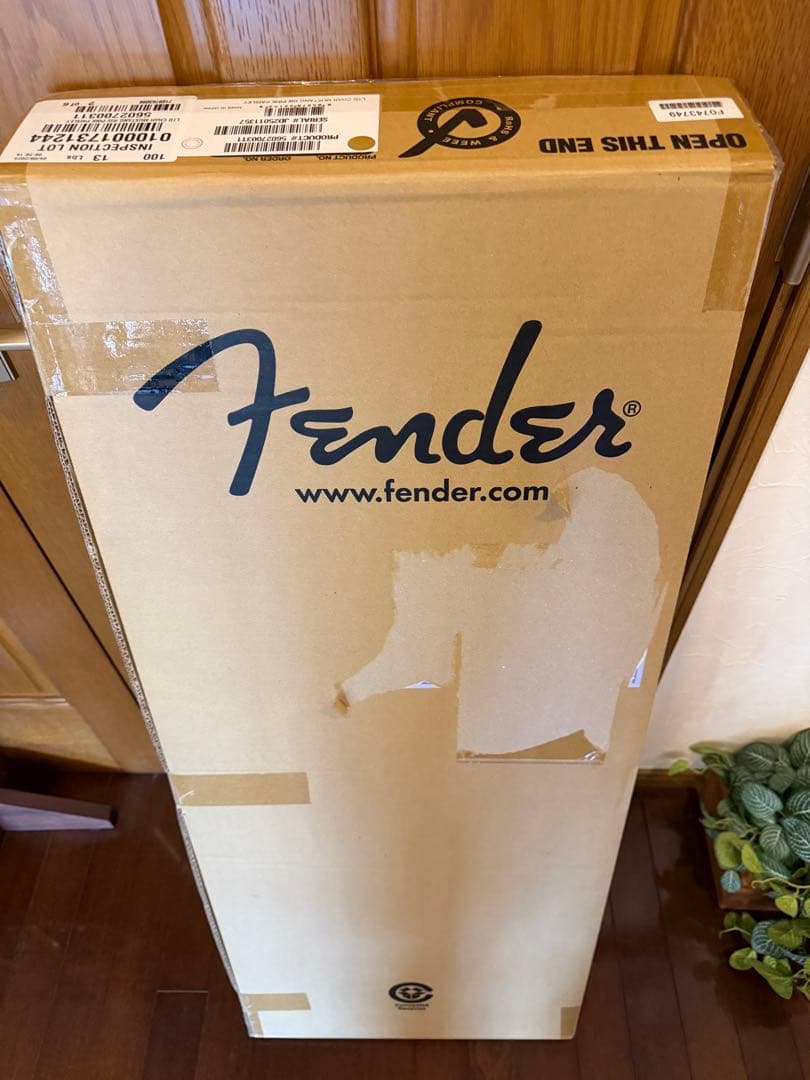 ギター Char Mustang Pink Paisley