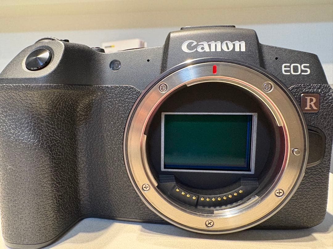 EOS RP バッテリー2個付き シャッター回数7000回以下