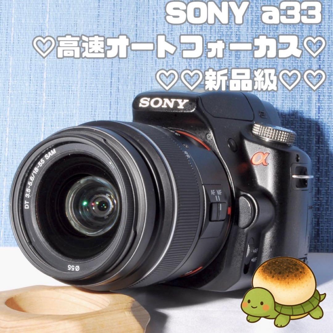 ✨初心者向け✨Sony α33 標準レンズセット✨スマホ転送✨