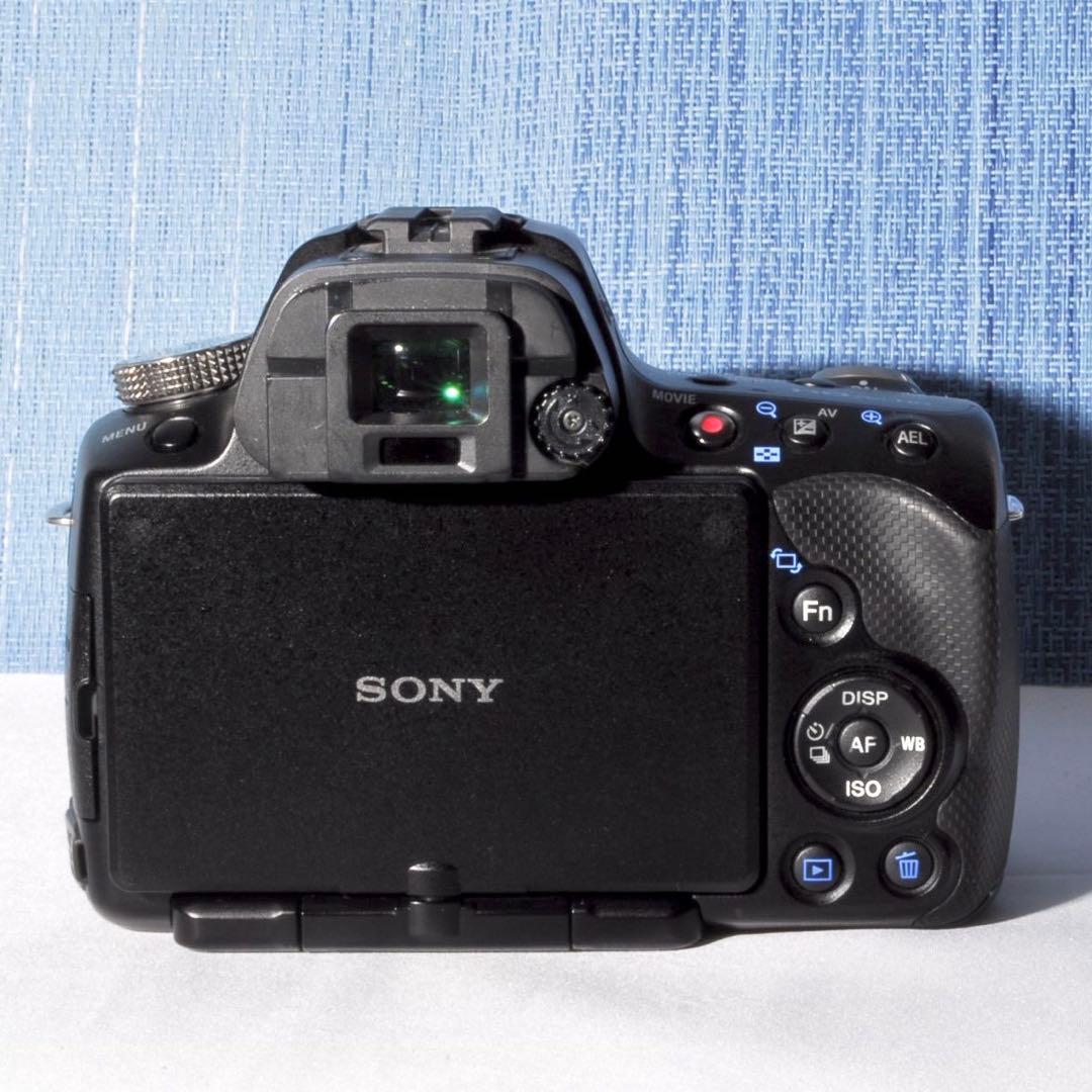 ✨初心者向け✨Sony α33 標準レンズセット✨スマホ転送✨