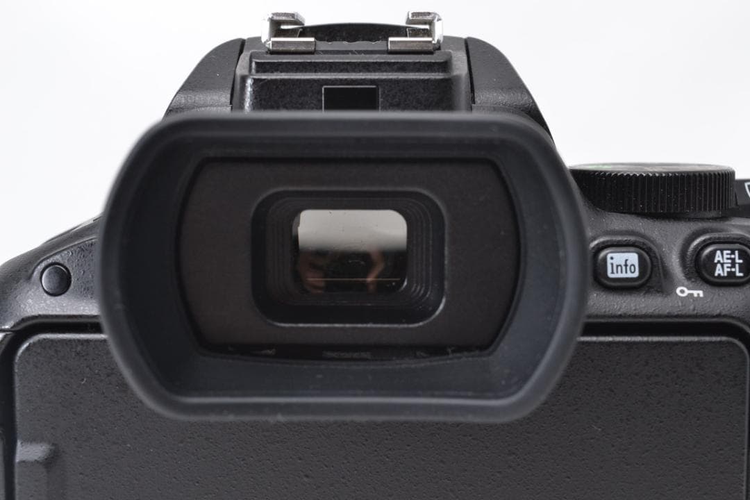 ■ 美品 ■　ニコン Nikon D5500 ダブルレンズ