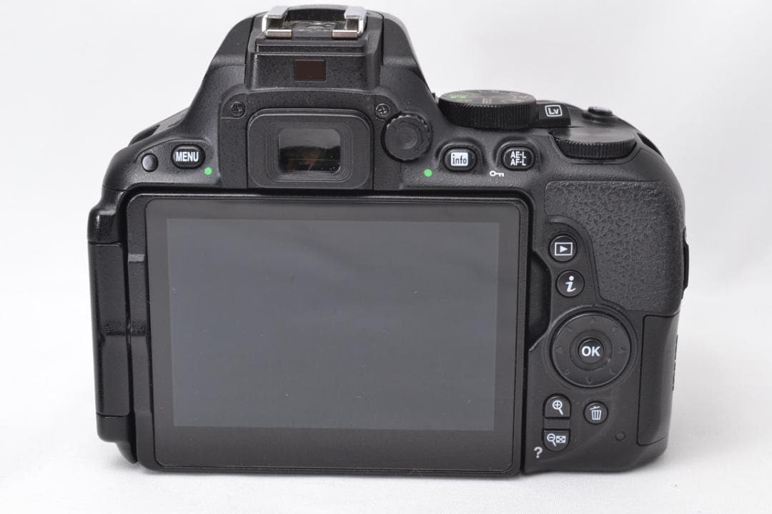 ■ 美品 ■　ニコン Nikon D5500 ダブルレンズ