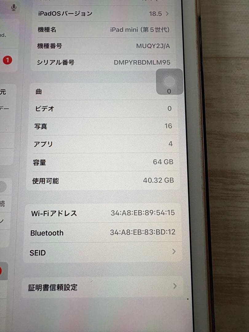 iPad miniゴールド 本体