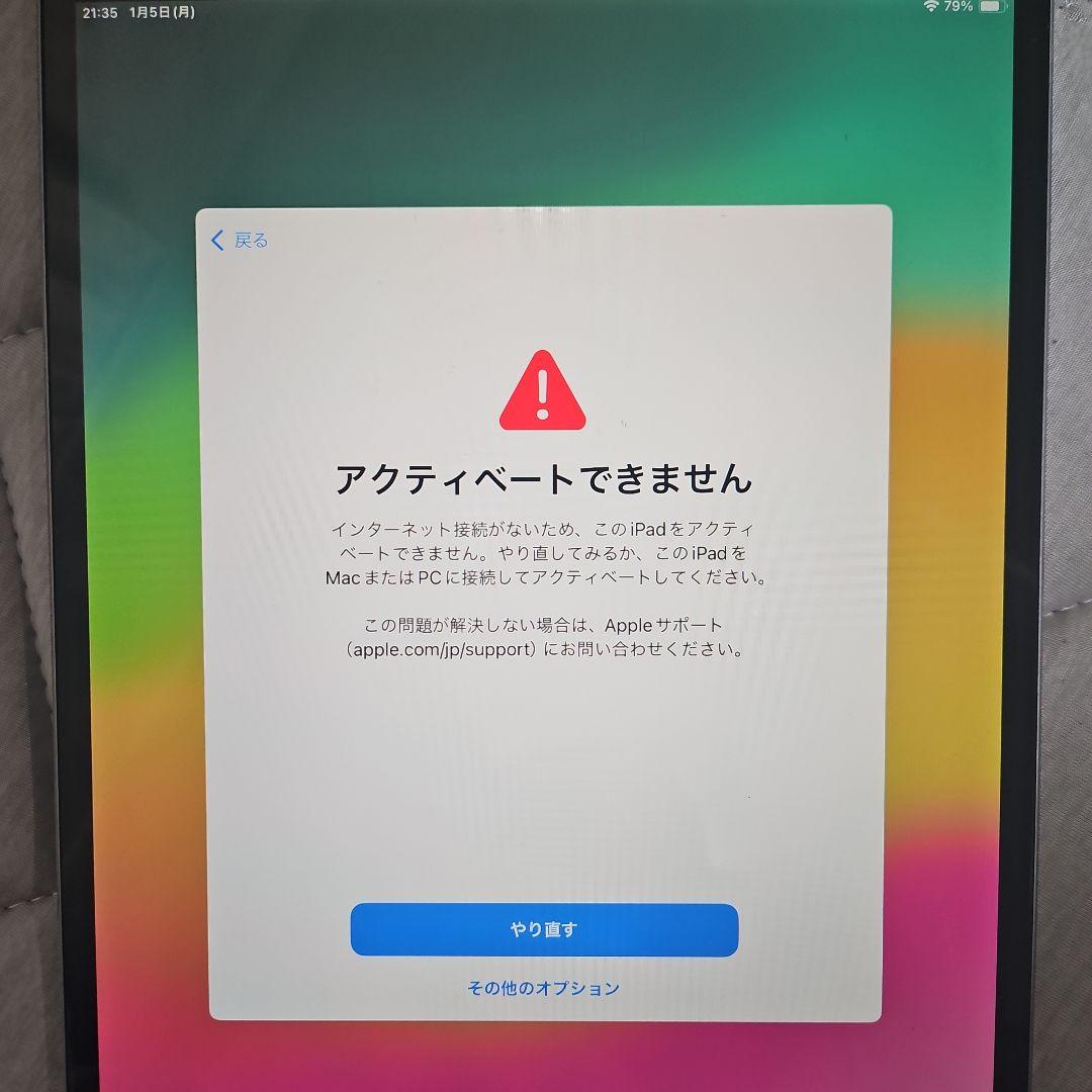 Apple iPad Pro 10.5 Wi-Fi+Cellular ジャンク